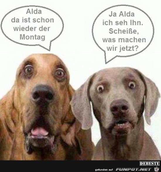 schon wieder der Montag....... schon wieder der Montag.......