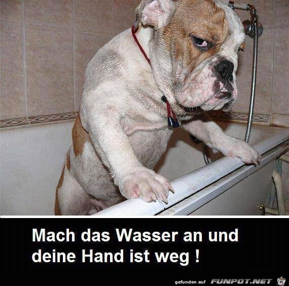 Mach das Wasser an