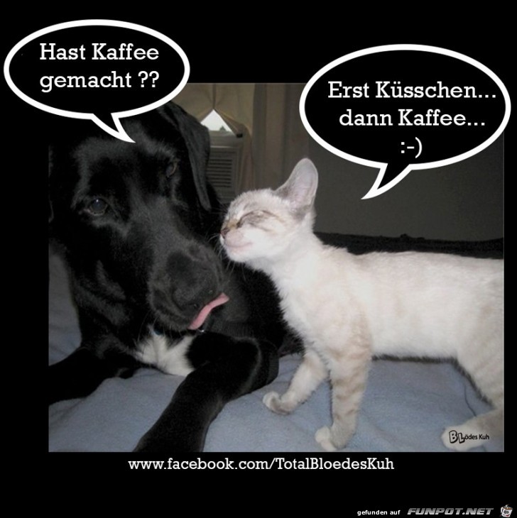 Hast Kaffee gemacht