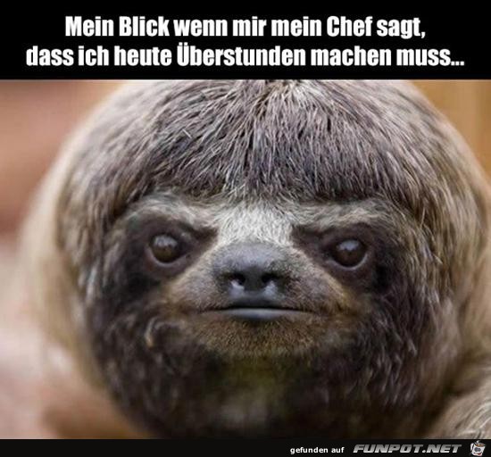 Mein Blick