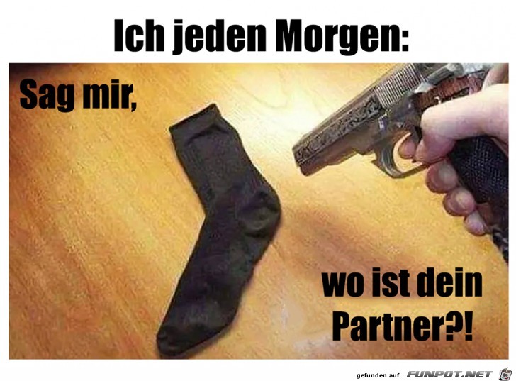 Plötzlich Single Plötzlich Single