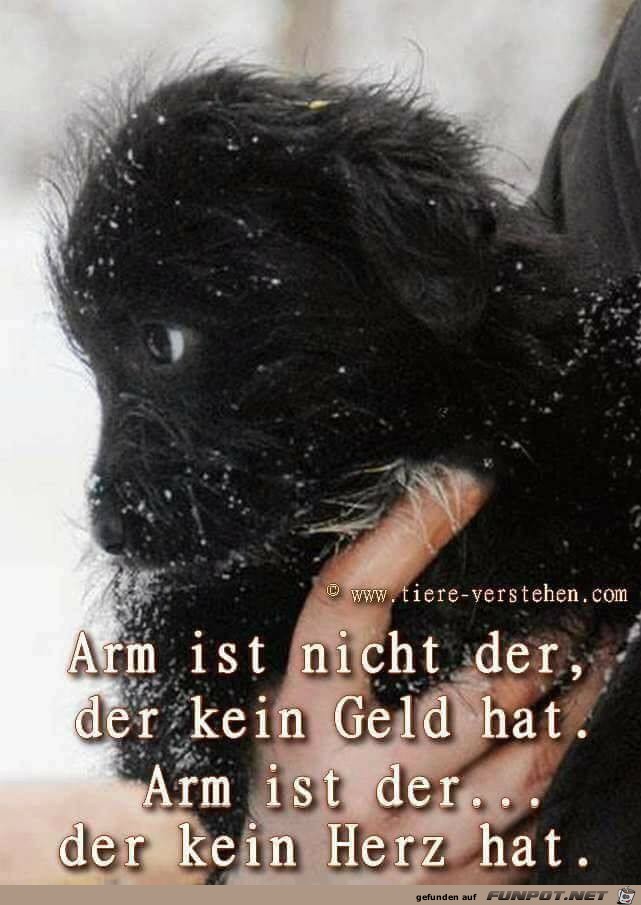 Arm ist nicht der