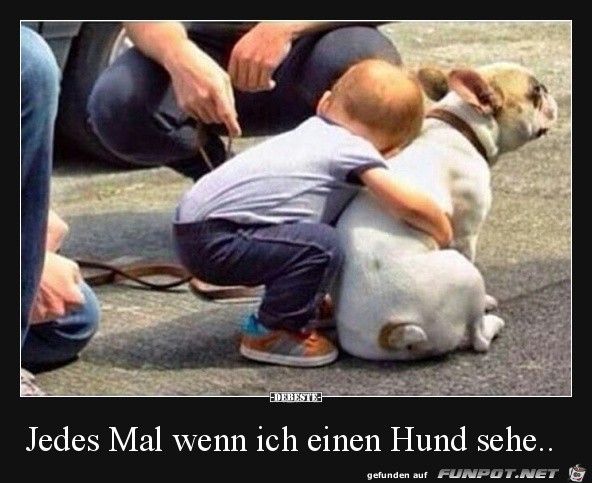 Wenn ich einen Hund sehe