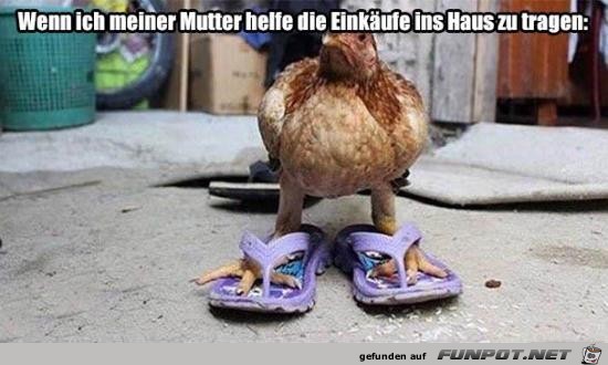 Einkäufe ins Haus tragen Einkäufe ins Haus tragen