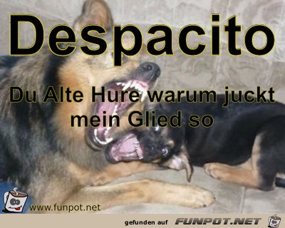 Despacito Despacito