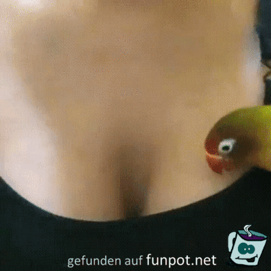 Da will ich rein Da will ich rein