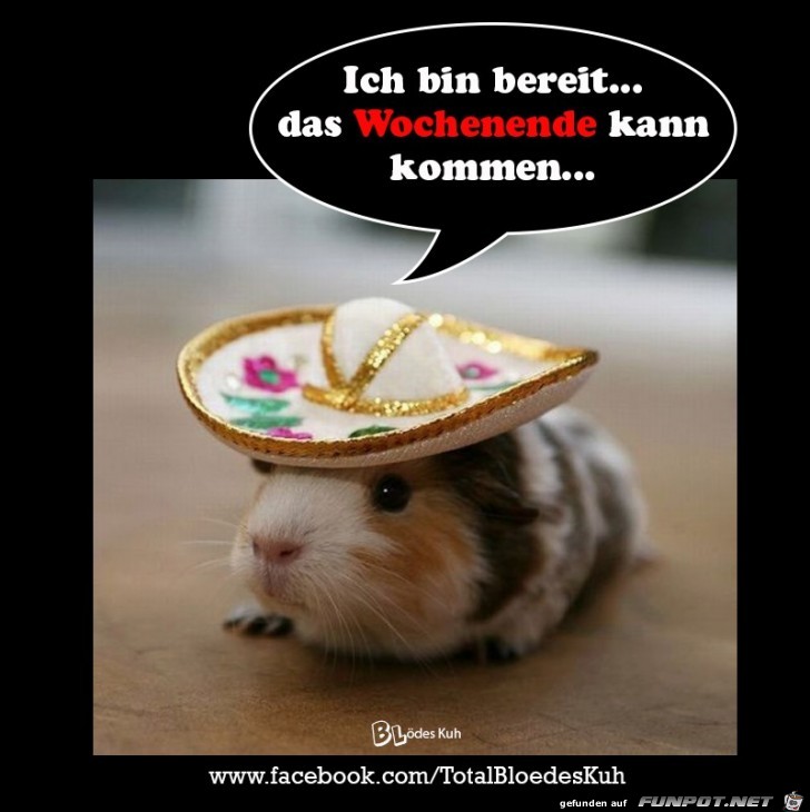 Bin bereit Bin bereit