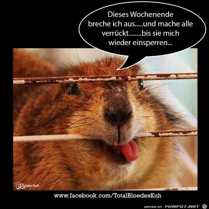 Dieses Wochenende