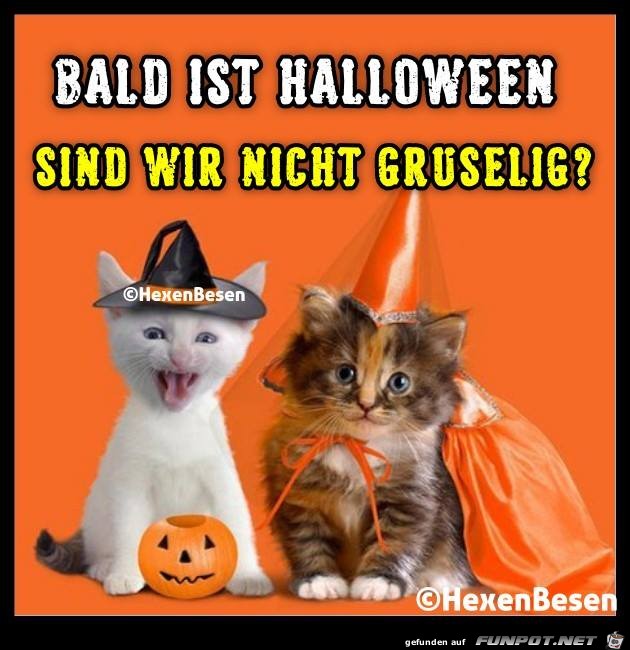 Bald ist Halloween