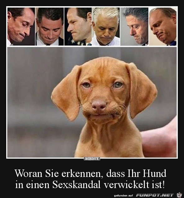 Ein Skandal Ein Skandal