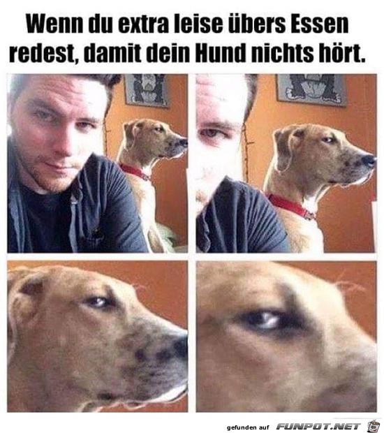 Er hört alles Er hört alles
