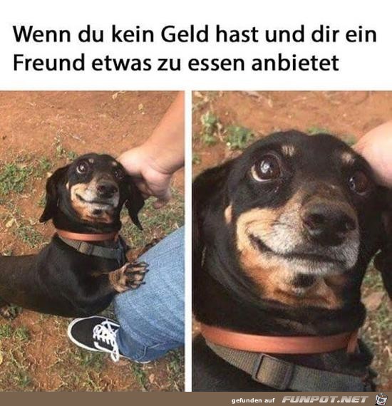 Wie lieb Wie lieb