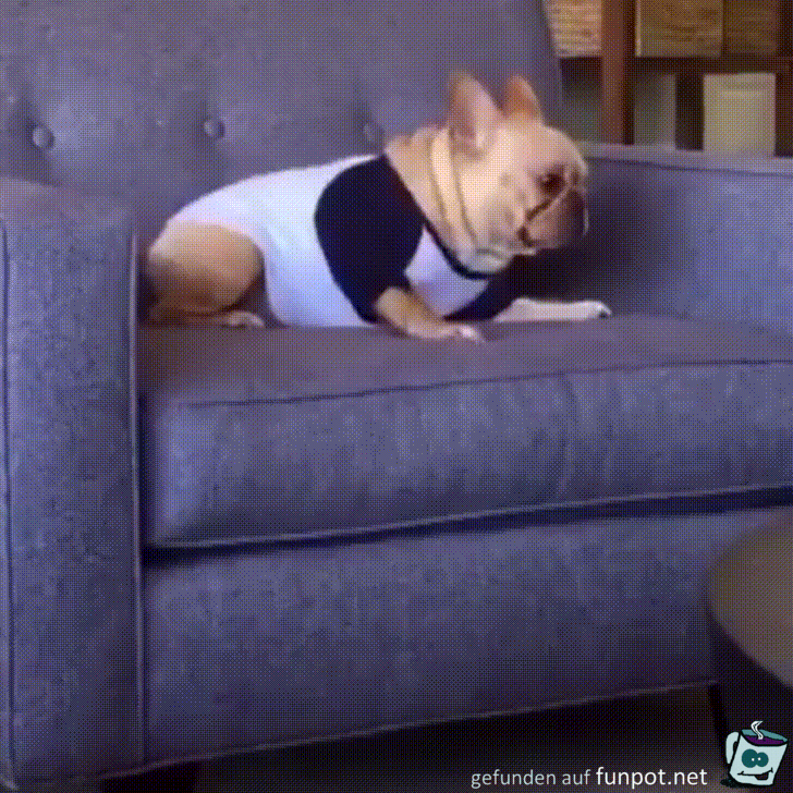 Hoppla Hoppla