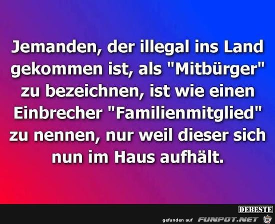 Jemanden, der illegal ins Land gekommen ist..... Jemanden, der illegal ins Land gekommen ist.....