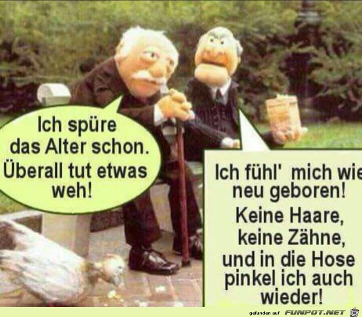 das Alter das Alter