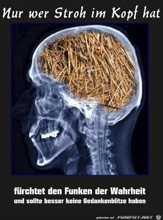 Wer Stroh im Kopf hat... Wer Stroh im Kopf hat...