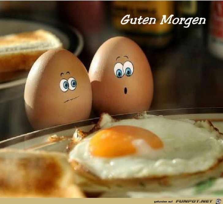 Guten Morgen Guten Morgen
