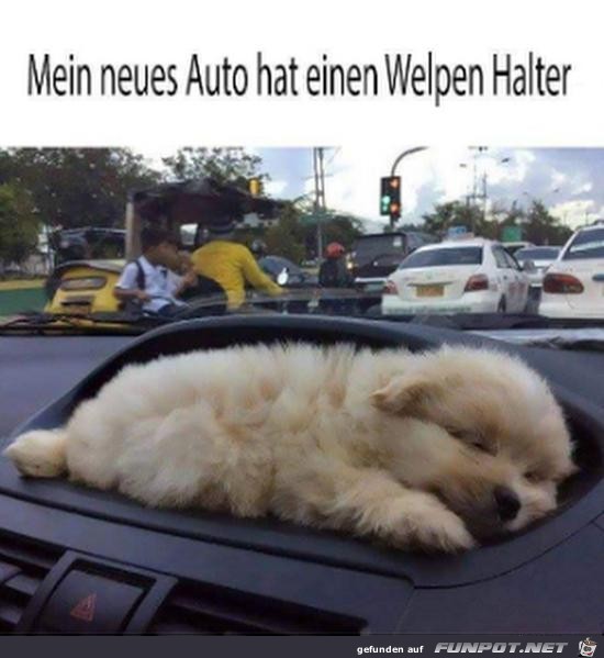 Welpenhalter Welpenhalter