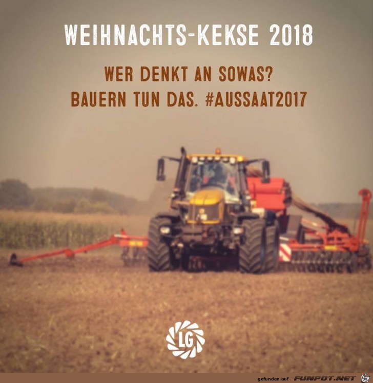 Weihnachtskekse 2018