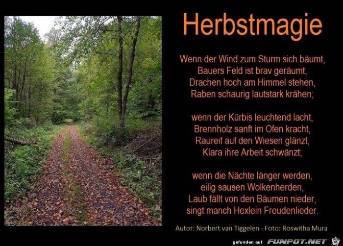 Herbstmagie 2017