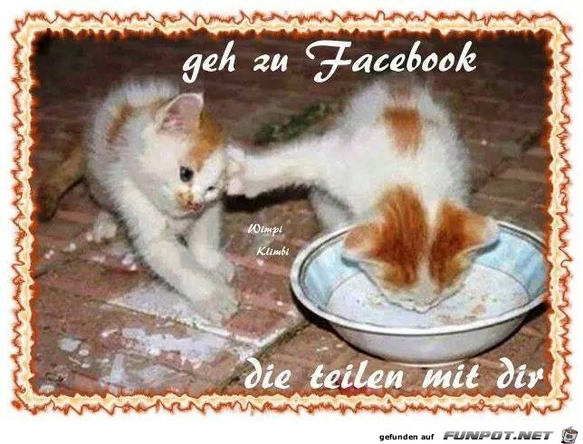 Geh zu Facebook