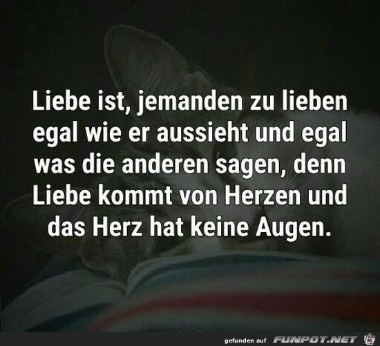 Liebe ist, jemanden zu lieben...........