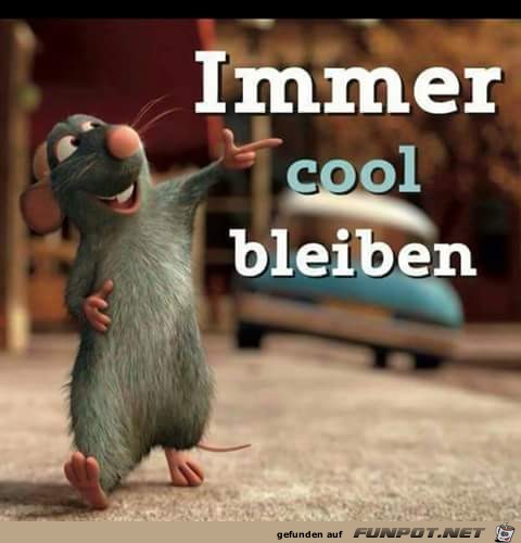 Immer cool bleiben Immer cool bleiben