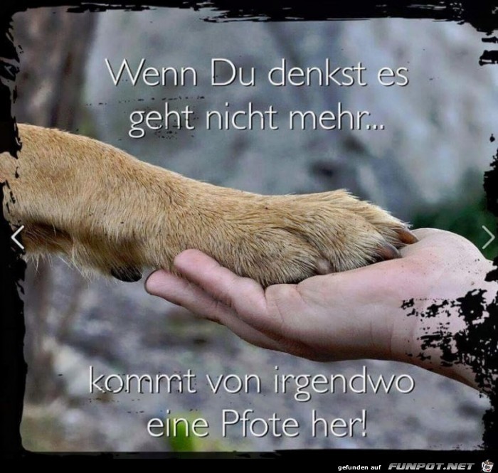 Wenn du denkst Wenn du denkst