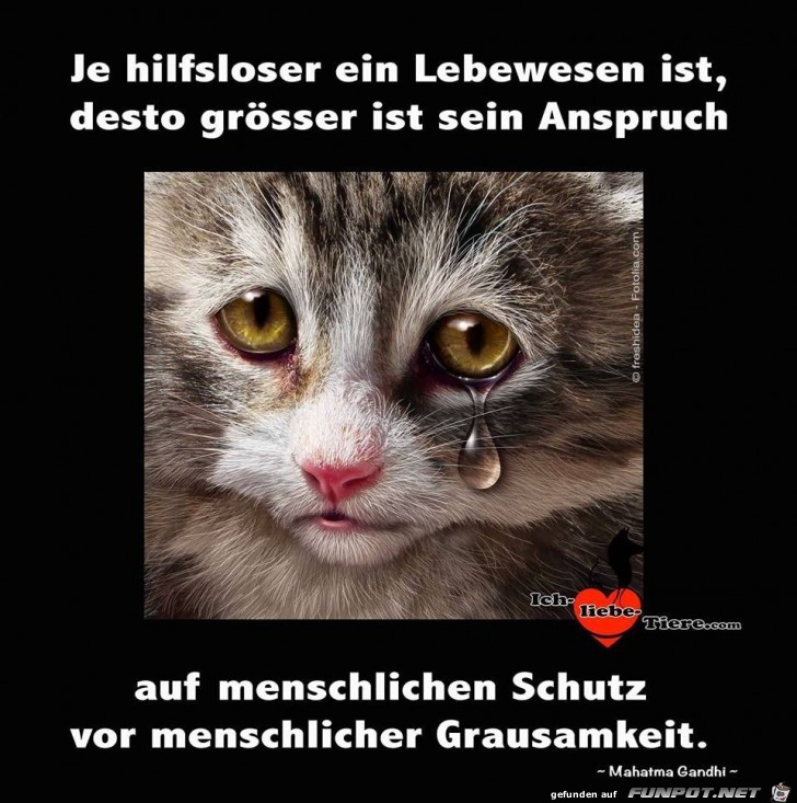 Je hilfsloser ein Lebewesen Je hilfsloser ein Lebewesen