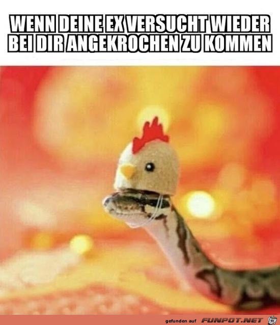 Deine Ex Deine Ex