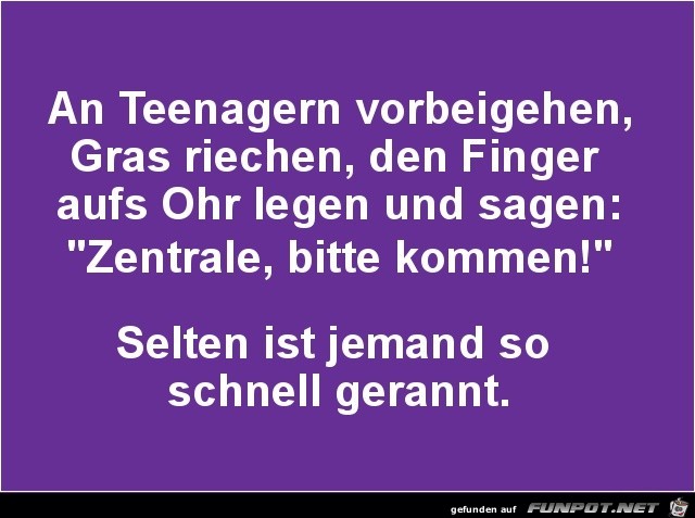 Teenager verppeln