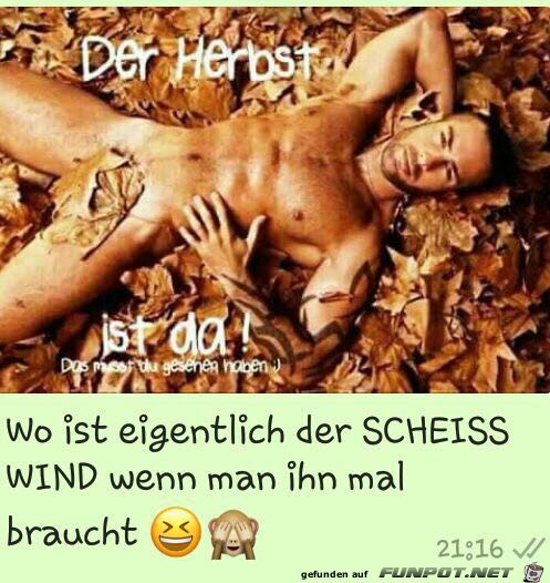 Der Herbst ist.... Der Herbst ist....