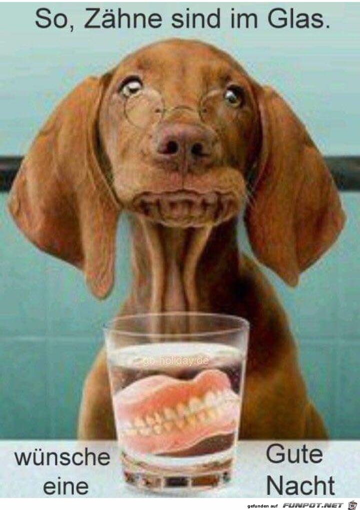 Zähne sind im Glas Zähne sind im Glas