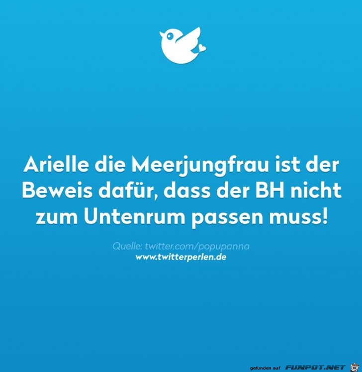 Der Beweis Der Beweis