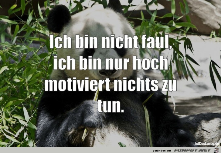 hoch motiviert