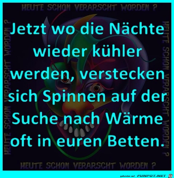 Wenn die Nchte wieder khler werden