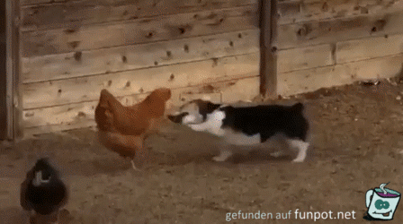 Schluss mit spielen Schluss mit spielen