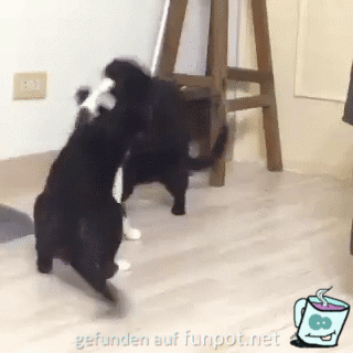 Zurück Zurück