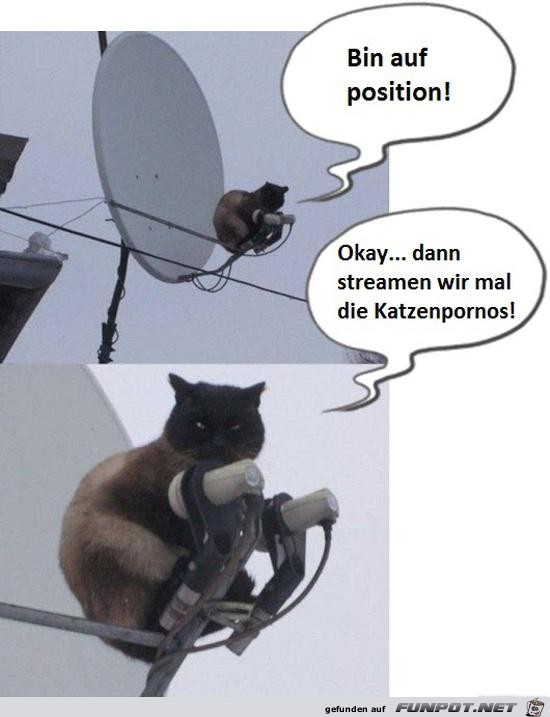 Jetzt wird gestreamt Jetzt wird gestreamt