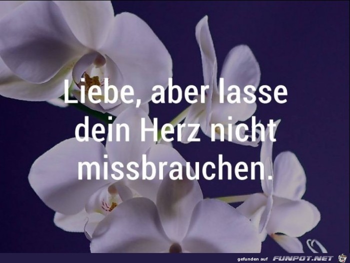 10 schne Sprche und Lebensweisheiten aus...