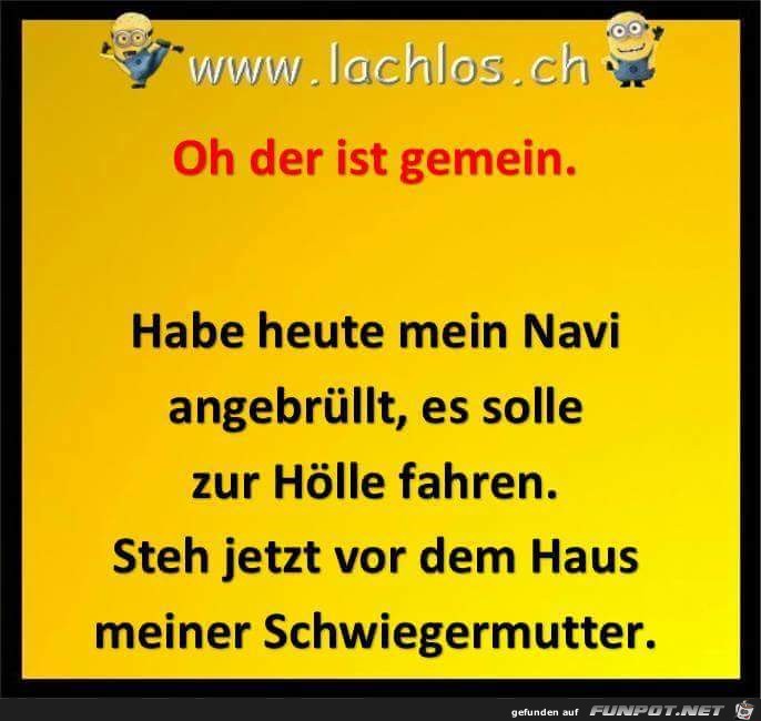 Navi anbrüllen Navi anbrüllen
