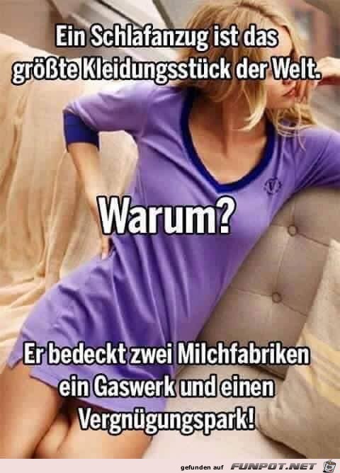 Der Schlafanzug Der Schlafanzug