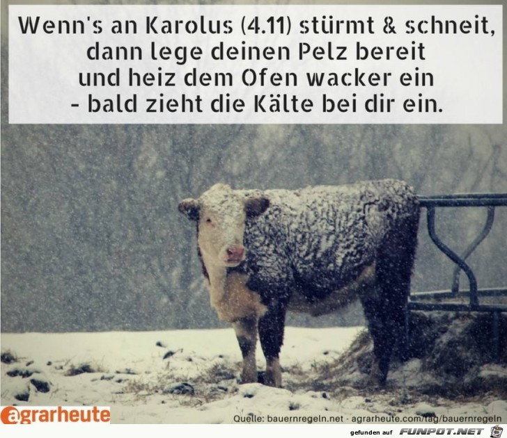 Bauerregel 4.11. Bauerregel 4.11.