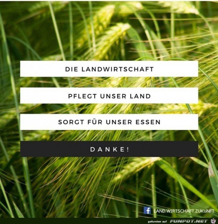 Die Landwirtschaft