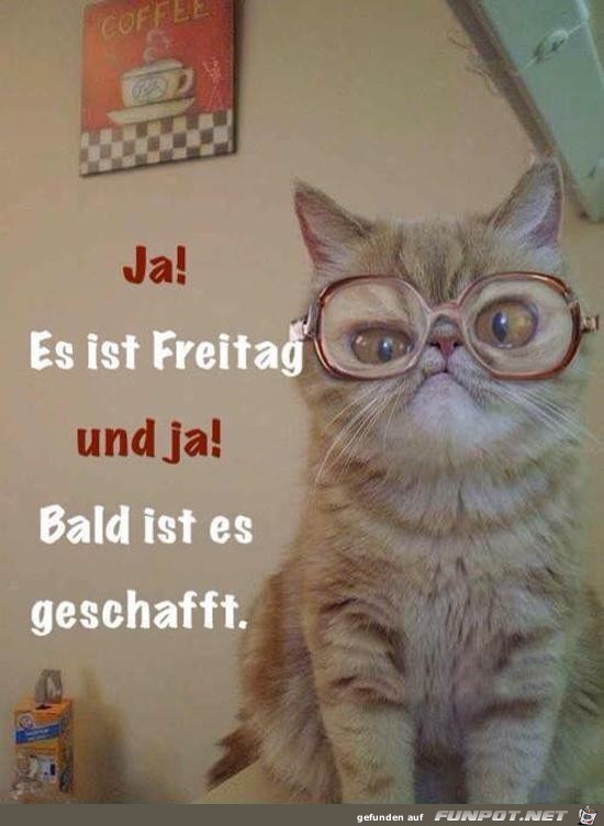 Freitag