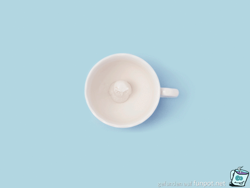 Kaffee Kaffee