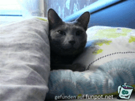 Gähn Gähn
