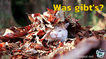 Was gibt es Was gibt es