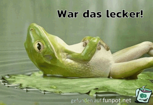 lecker lecker