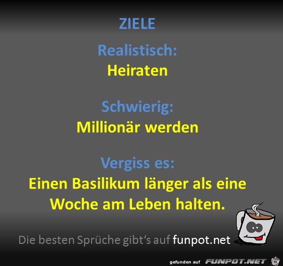 Ziele Ziele